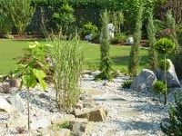 projektowanie ogrodów, zakładanie ogrodów, pielęgnacja ogrodów